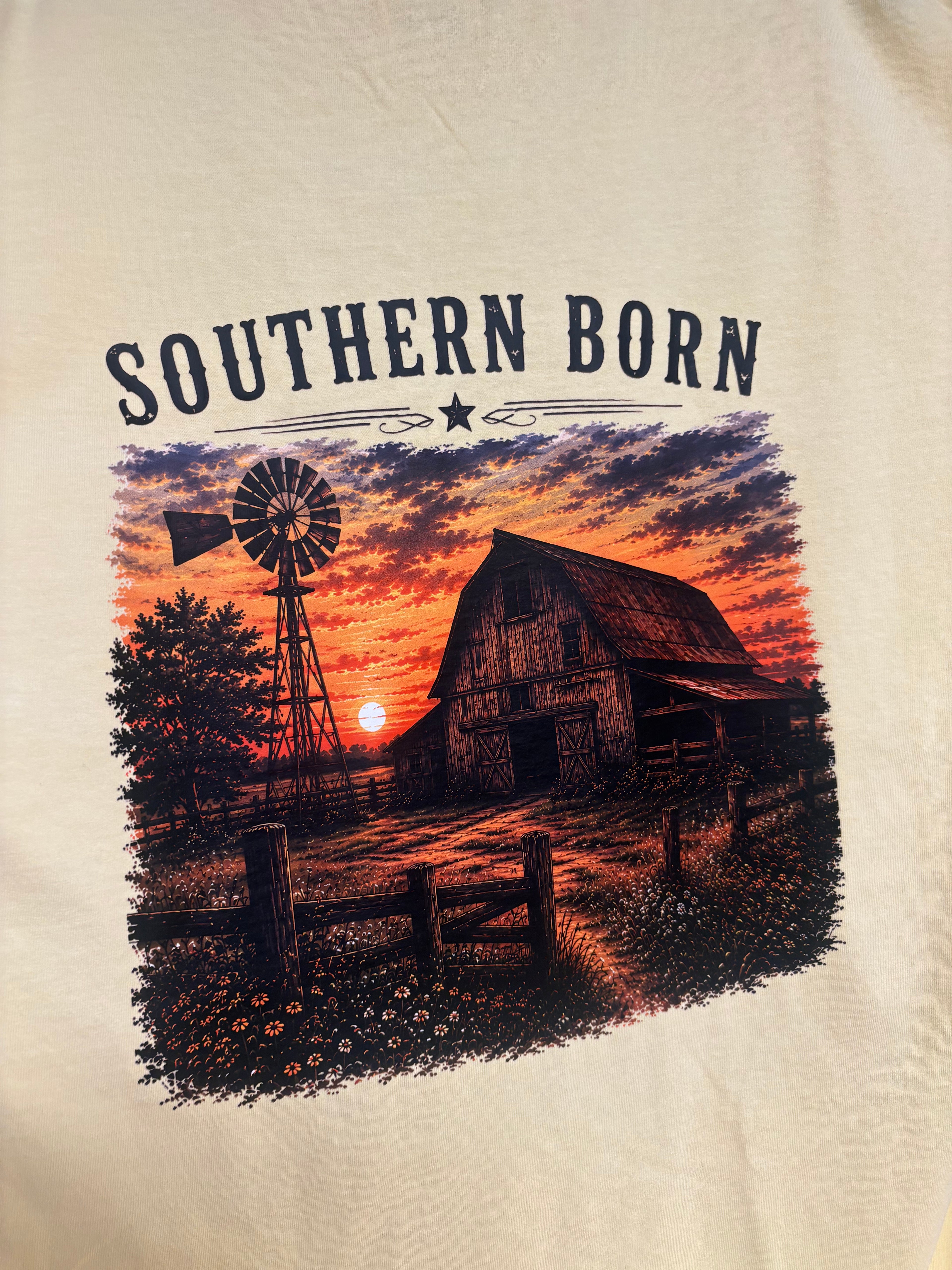 Southern Born Windmill