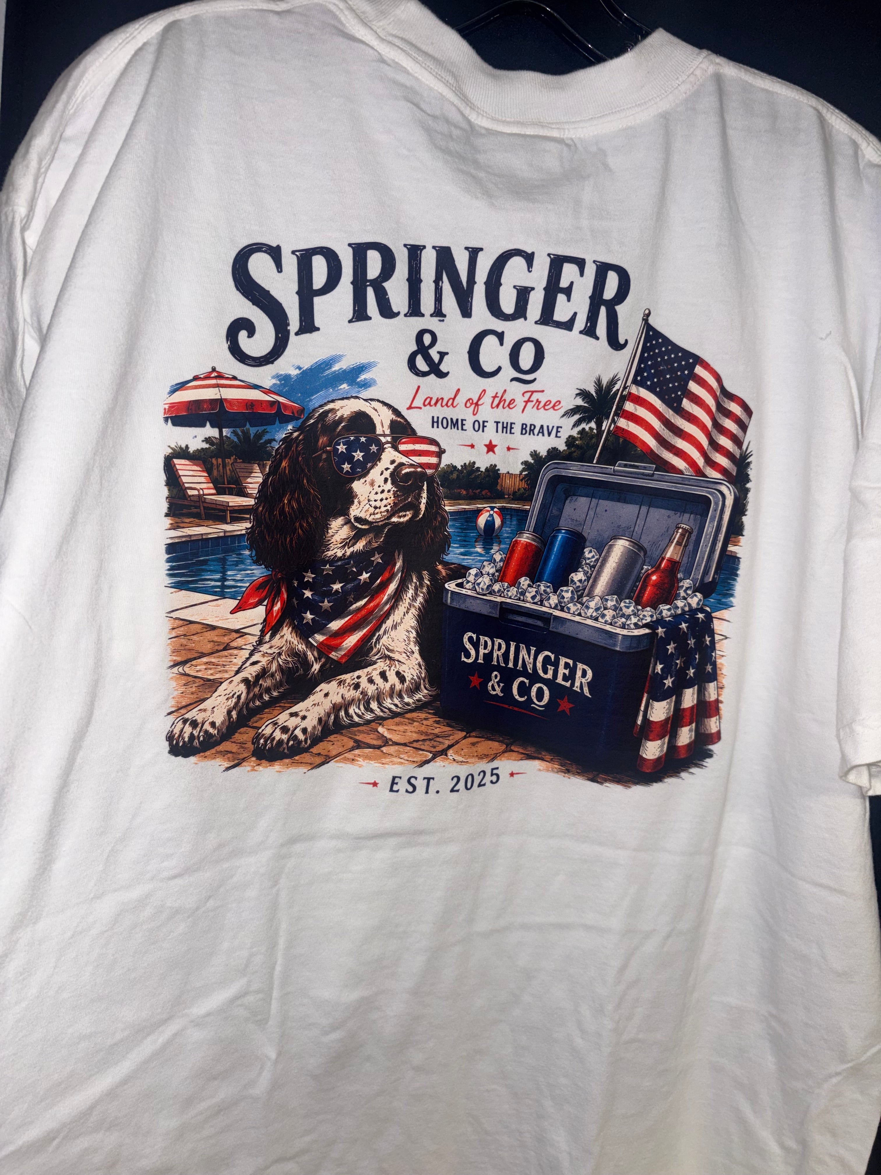 4th of July Pool